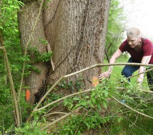Council members speak out against MUB's White Park plans